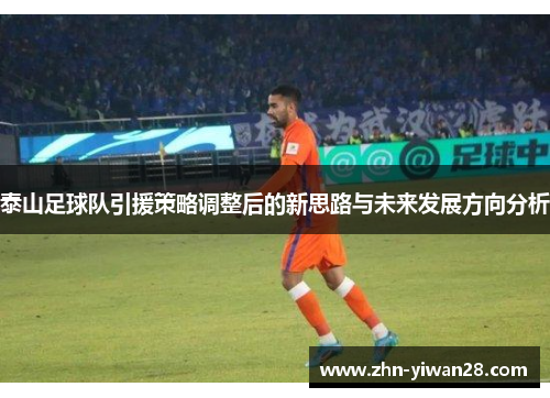 泰山足球队引援策略调整后的新思路与未来发展方向分析