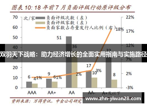 双羽天下战略：助力经济增长的全面实用指南与实施路径