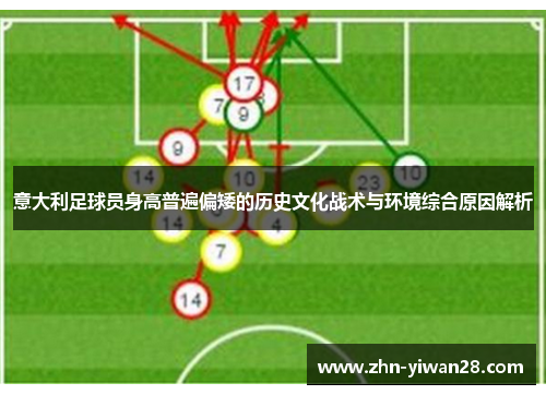 意大利足球员身高普遍偏矮的历史文化战术与环境综合原因解析
