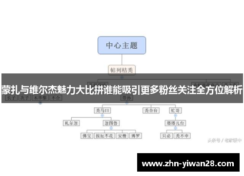 蒙扎与维尔杰魅力大比拼谁能吸引更多粉丝关注全方位解析